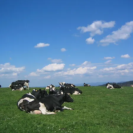 Hof Laesser Apartamento *