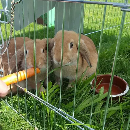 Hof Laesser Apartamento Möggers